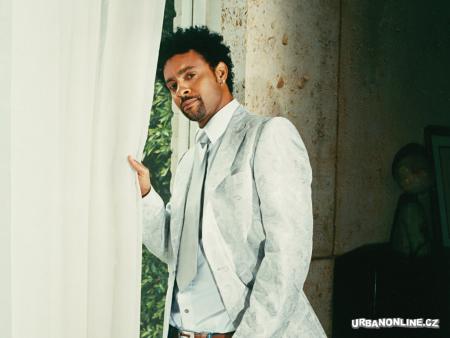 shaggy